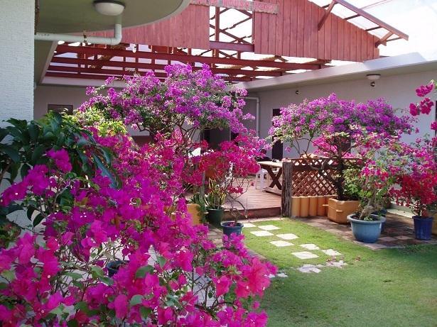 Patio House Reef Hotel Zamami Exterior photo